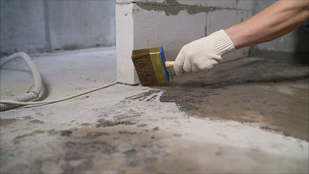 SJ Waterproofing Pros Waterproofing coverage map for Flushing, MI and surrounding area